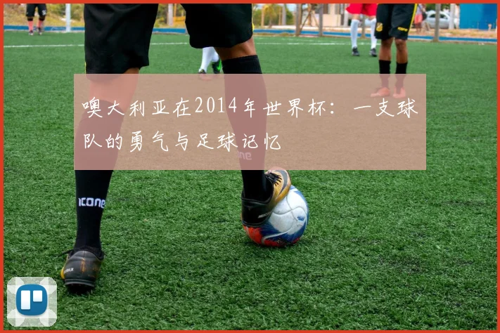 噢大利亚在2014年世界杯：一支球队的勇气与足球记忆