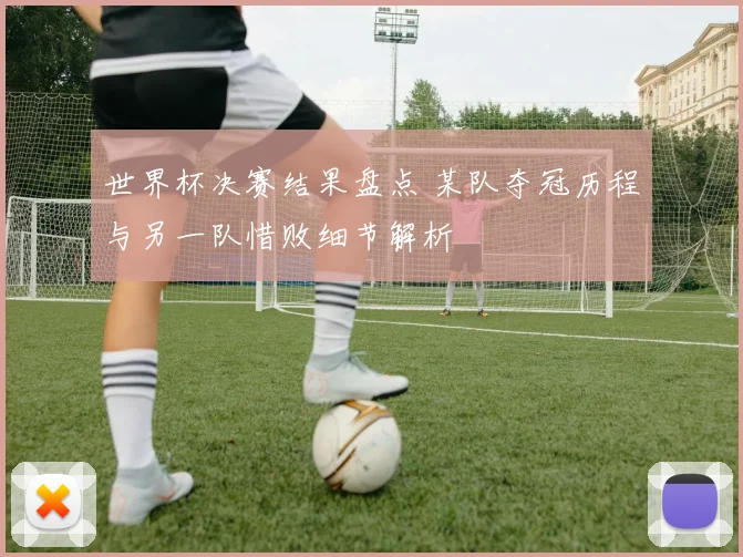 世界杯决赛结果盘点 某队夺冠历程与另一队惜败细节解析