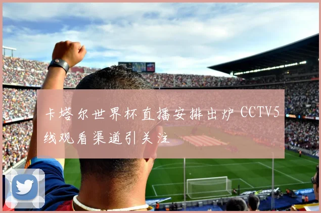 卡塔尔世界杯直播安排出炉 CCTV5线观看渠道引关注