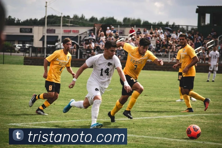 k1体育app官网登录APP 高清赛事图